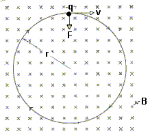 Cyclotron Motion