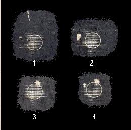 Radioheliograph Display