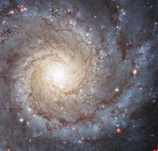 M74