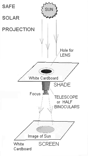 Projection viewing